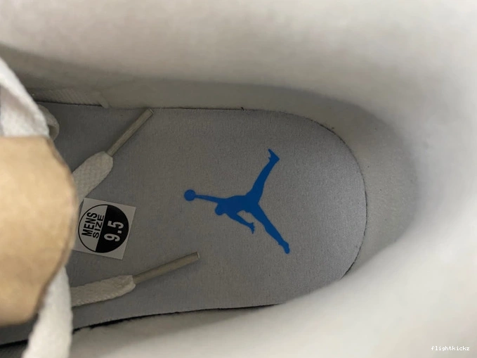 Jordan Lucky Air 3 Shorts CT8532-101 1109